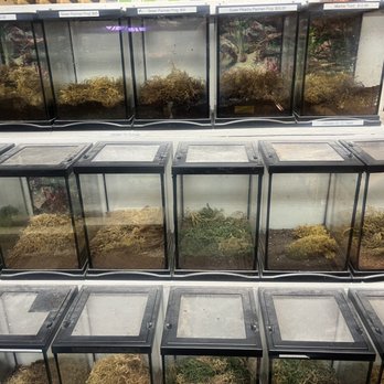 The Spoiled Pet - Pet Stores Near Me - Myrtle Beach, South Carolina