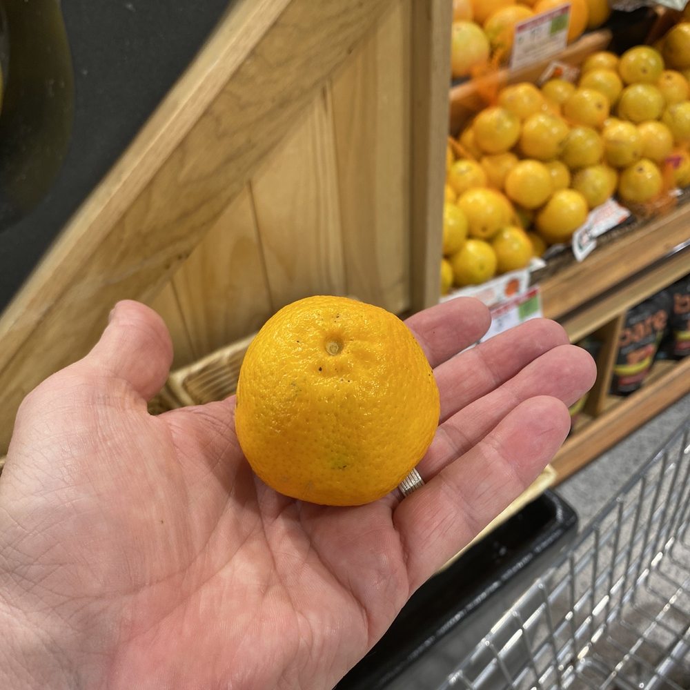 Mini navel oranges Mini navel oranges