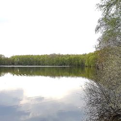 Kieskuhle Roggenmoor