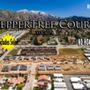 Issac Meza -Shine Real Estate Sales