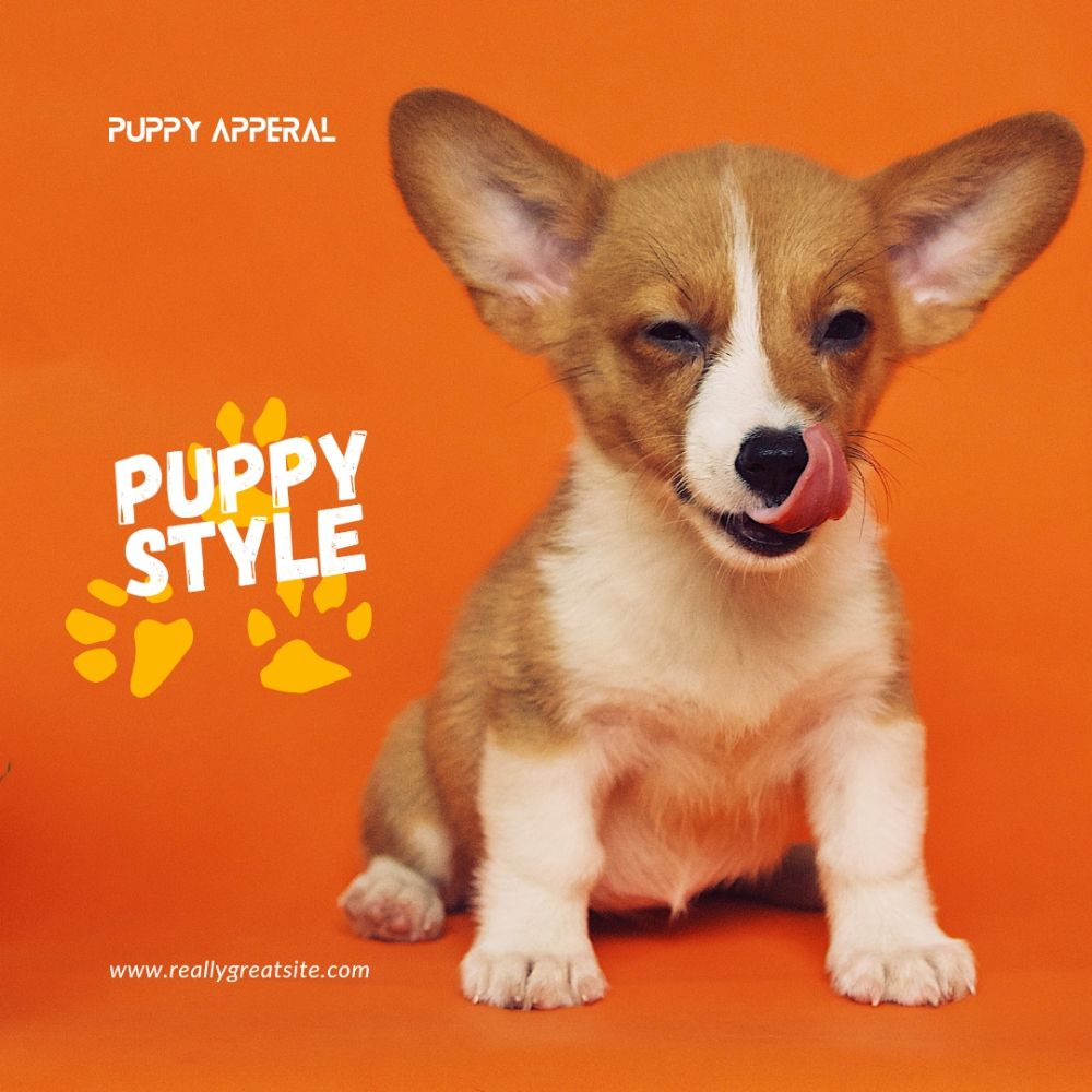 TWO PET COUTURE Request an Appointment 14 Photos Marysville