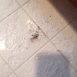 user provided Amaranda's House Cleaning photo