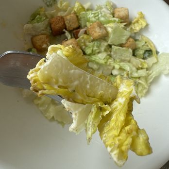 Panera Bread - Rotting - Salad Near Me - Laurel, Maryland