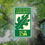 California Ecology Arborists