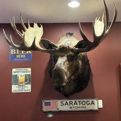 Snowy Mountain Brewery - The moose