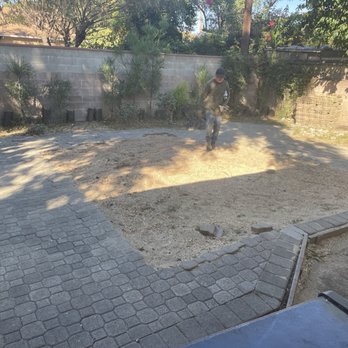 Affordable Tree Care - Tree removed - Tree Services Near Me