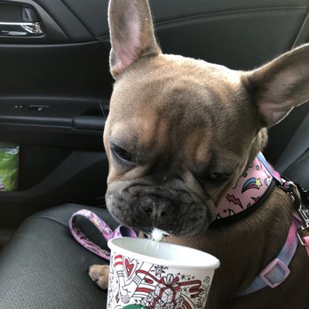 Starbucks - Coffee & Tea Near Me - Chatsworth, California Starbucks - Coffee & Tea Near Me - Chatsworth, California