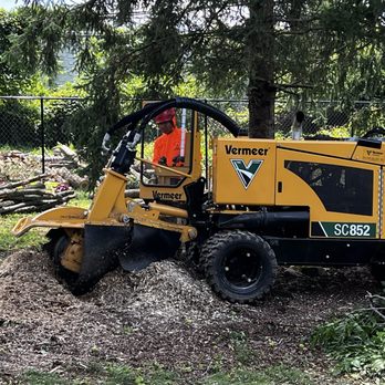 Ortiz Tree Services - Tree Services Near Me - Columbus, Ohio