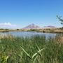 Photo of Duck Creek Trails