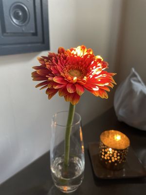 Brownstone Restaurant by null