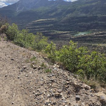 Action Adventures Trail Rides - Just wow! - Horseback Riding Near Me - Ouray, Colorado