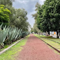 Parque Bicentenario