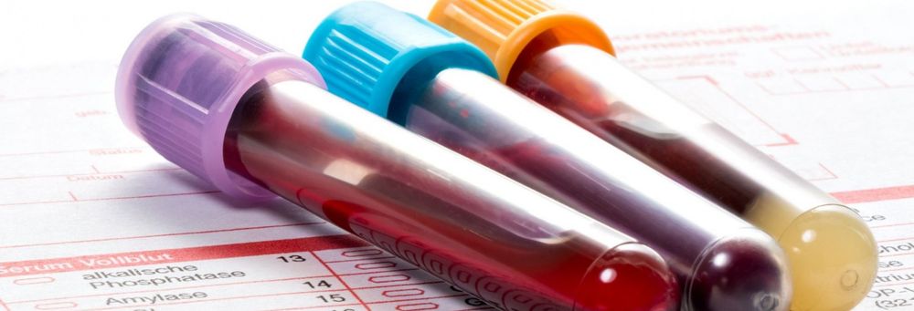 Bella Mobile Phlebotomy Services - home care agency in Woodway, WA