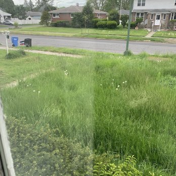 Pure Elegance - Front yard before - The image shows a front yard with overgrown grass and weeds, including dandelions, extending to the sidewalk and street. In the background, there are residential houses, trees, and a cloudy sky. A street runs parallel to the yard, with a few trash bins and mailboxes visible near the sidewalk. The scene appears to be in a suburban neighborhood with maintained houses and a quiet street. - Painters Near Me