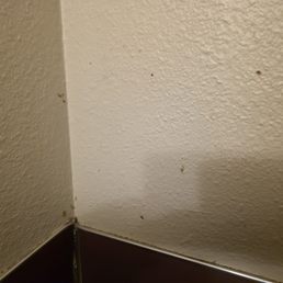 Instead of checking in on yelp, there's someone that puts a new booger next to the urinal every time.