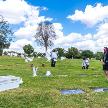 White Dove Release - The rest of the doves released - Funeral Services & Cemeteries Near Me