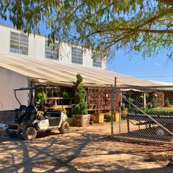 Newton Nurseries - Austin