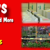 Larry's Used Appliances gift card