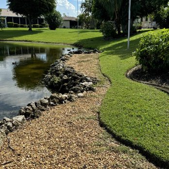 Wilkinson Landscaping - After...the weeds remaining after weed eating were sprayed to kill them - Lawn Services Near Me - North Fort Myers, Florida Wilkinson Landscaping - After...the weeds remaining after weed eating were sprayed to kill them - Lawn Services Near Me - North Fort Myers, Florida