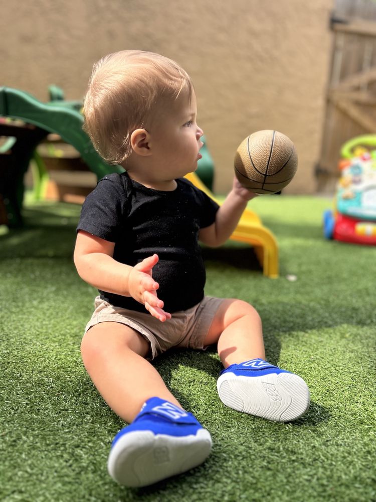 New Horizons Country Day School - childcare center in Palm Harbor, FL