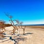 Photo of South Dunes Picnic Area