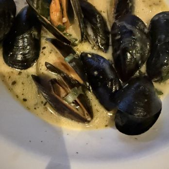Circles Waterfront at Lands End Marina - MUSSELS VIN BLANC - Seafood Near Me - Apollo Beach, Florida
