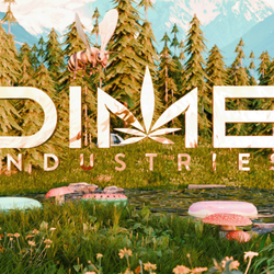 White Mountain Health Center - DIME Vapes available in store!