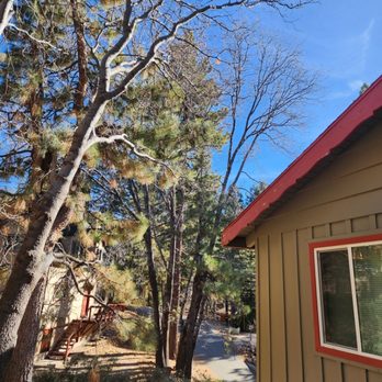 Arbor Tech - Residential fire insurance trimmings - Tree Services Near Me