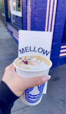 The Mellow Haight by null