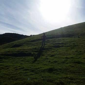 Briones Regional Park - Parks Near Me - Martinez, California Briones Regional Park - Parks Near Me - Martinez, California