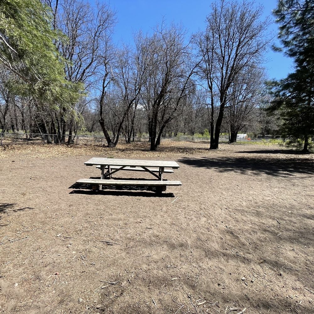 Shastice Park - Parks Near Me - Mount Shasta, California Shastice Park - Parks Near Me - Mount Shasta, California