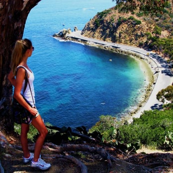Lover's Cove - Overlooking Lover's Coves' clean, clear water. Snorkeling rentals available at 10:00 AM daily throughout summer. - Beaches Near Me - Avalon, California Lover's Cove - Overlooking Lover's Coves' clean, clear water. Snorkeling rentals available at 10:00 AM daily throughout summer. - Beaches Near Me - Avalon, California