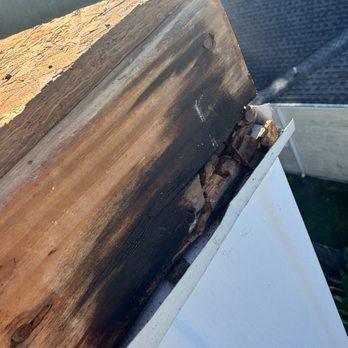 Dirty Chimney - Chimney Sweeps Near Me Dirty Chimney - Chimney Sweeps Near Me