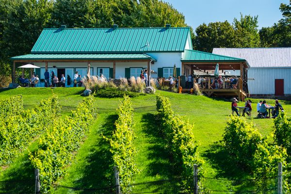 Ste-Pétronille - Winery & Cidery by null