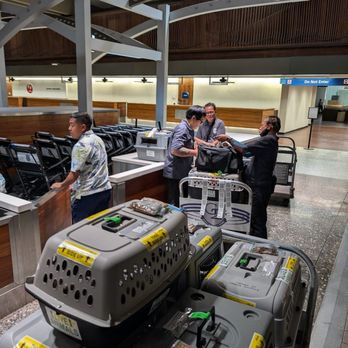 Skoot Premium Pet Transport - 22 Kennels in checked baggage - Pet Transportation Near Me Skoot Premium Pet Transport - 22 Kennels in checked baggage - Pet Transportation Near Me