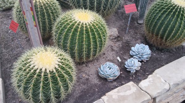 Botanical Garden of the University of Wrocław by null