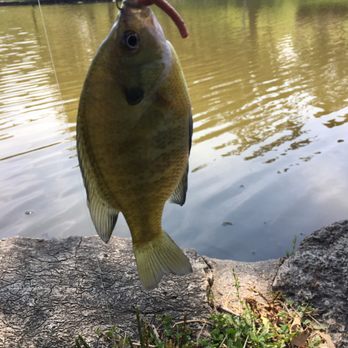 Hanscom Park - Nothing better than enjoying a day at Hanscom and catching one!! - Parks Near Me - Omaha, Nebraska