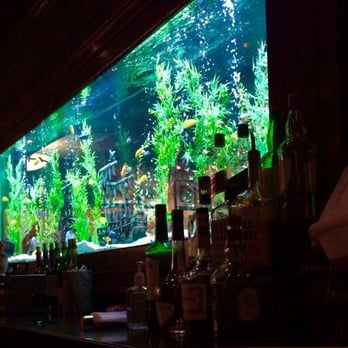 Cheddar's Scratch Kitchen - Huge fish tank set the mood. Cheers to a great restaurant. The price was just right and the food was absolutely tasty. - American Near Me - Louisville, Kentucky