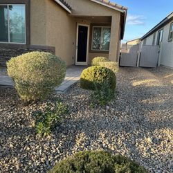Oscar Landscaping - New planta