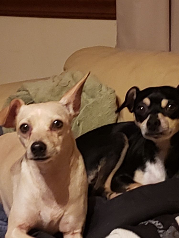 Slide of Edison's Maintenance Service