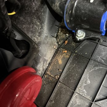 Vegas Auto Gallery - Feces everywhere - Car Dealers Near Me - Las Vegas, Nevada Vegas Auto Gallery - Feces everywhere - Car Dealers Near Me - Las Vegas, Nevada