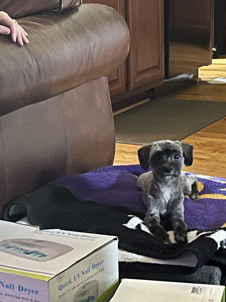 THE BARKMOBILE Updated September 2024 68 Photos 624 Holly Springs