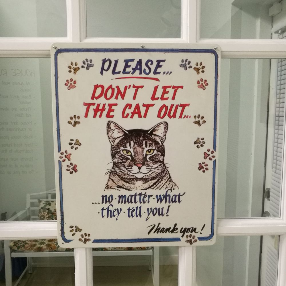 Catnip Cat Cafe - Be careful as you leave, kitties on the prowl - Pet Adoption Near Me - Norfolk, Virginia Catnip Cat Cafe - Be careful as you leave, kitties on the prowl - Pet Adoption Near Me - Norfolk, Virginia