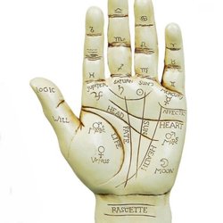 Palm reading