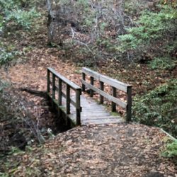 Los Trancos Open Space Preserve