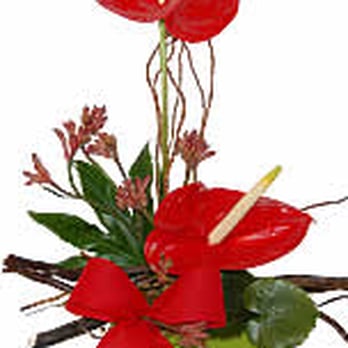 Webflor.pt - Florists Near Me - Lisbon, 11