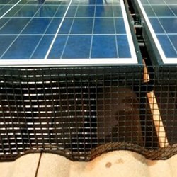 OC Solar Panel Cleaning - Bird Proofing to protect your solar panels from birds and other animals