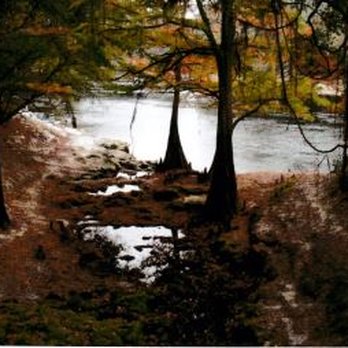Suwannee River State Park - View of River - Parks Near Me - Live Oak, Florida Suwannee River State Park - View of River - Parks Near Me - Live Oak, Florida