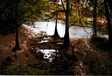 Suwannee River State Park by null