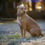 Photo of Seinen Photography